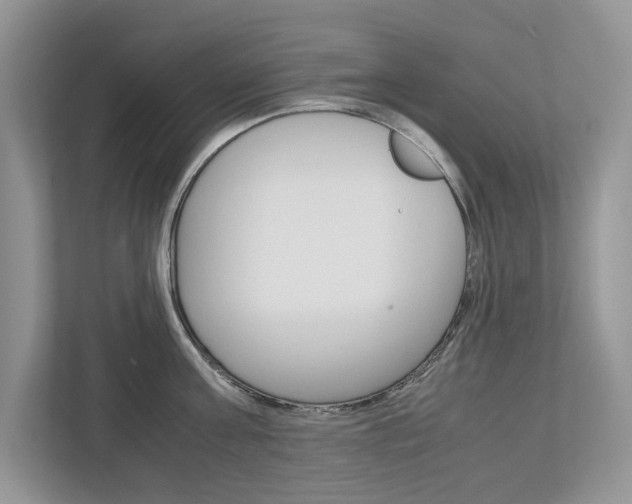 X0000113040811200908271033