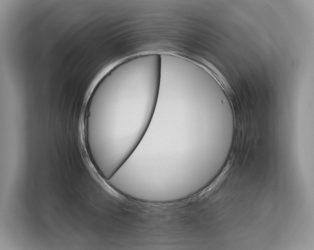 X0000113040812200908271033