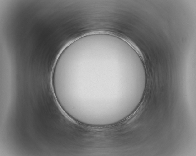 X0000113040813200908271033