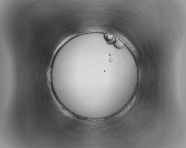 X0000113040814200908271033