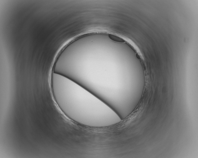 X0000113040815200908271033
