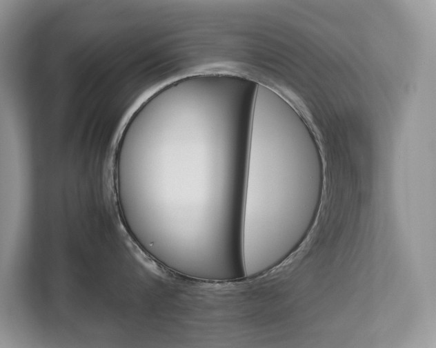 X0000113040816200908271033