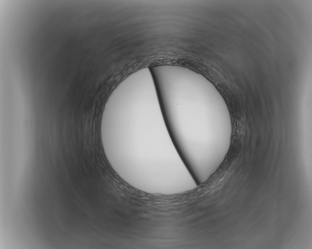 X0000113040818200908271032