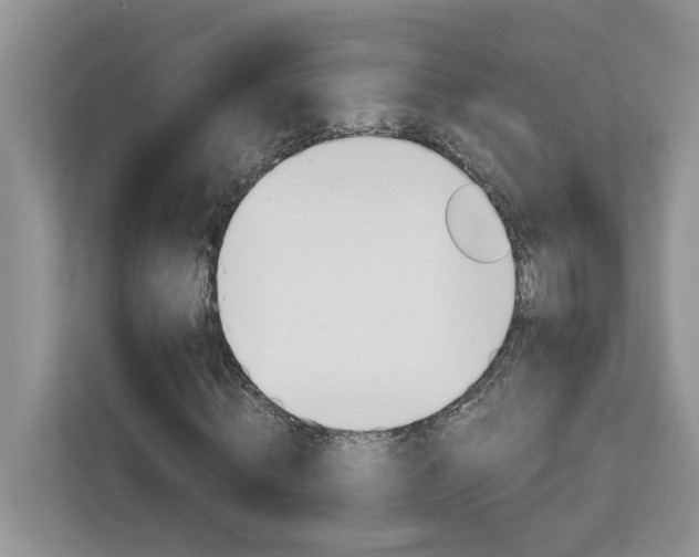 X0000113040820200908271032