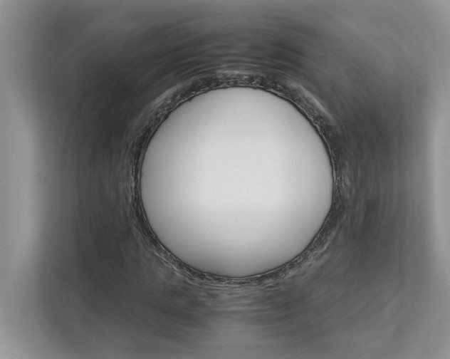 X0000113040821200908271033