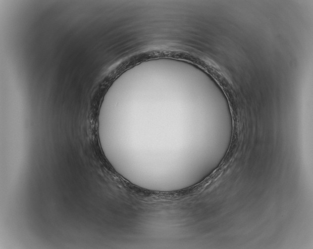 X0000113040822200908271033