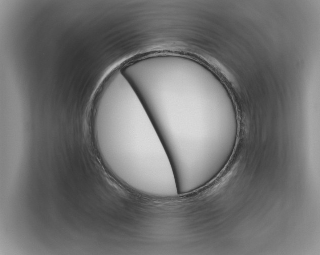 X0000113040830200908271033