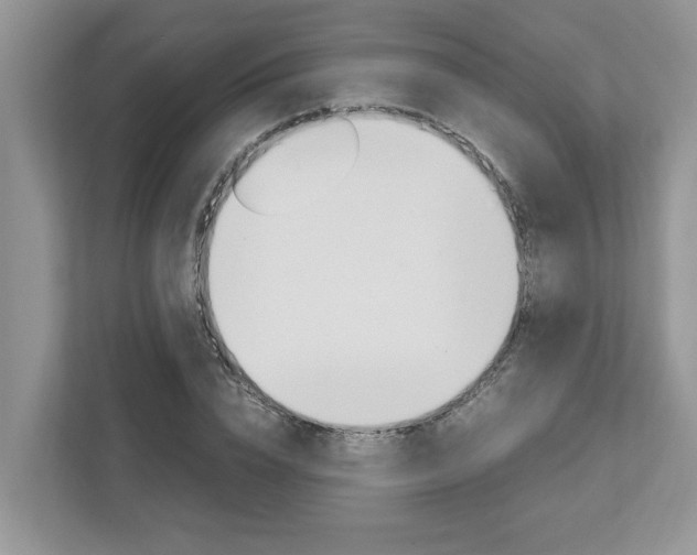 X0000113040832200908271033