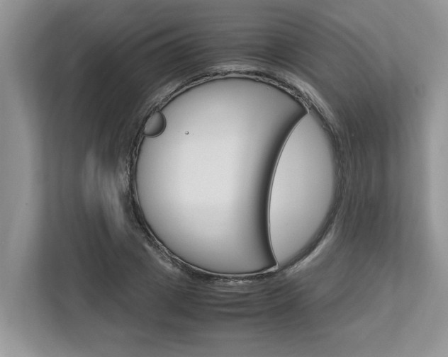 X0000113040833200908271033