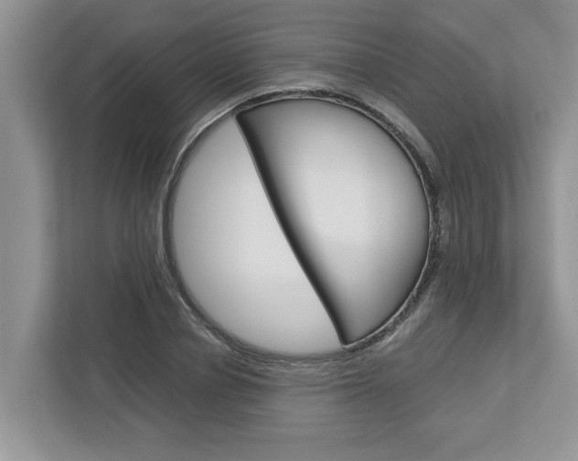 X0000113040834200908271033