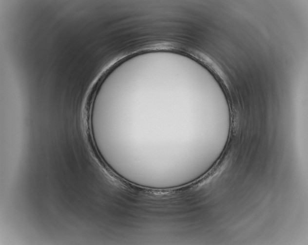 X0000113040835200908271033