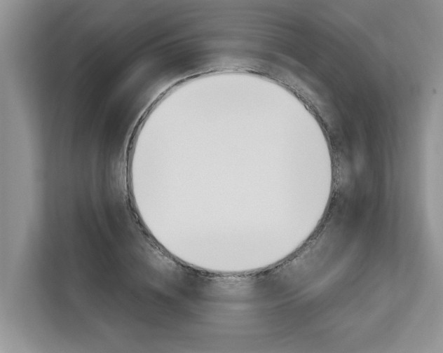X0000113040836200908271033