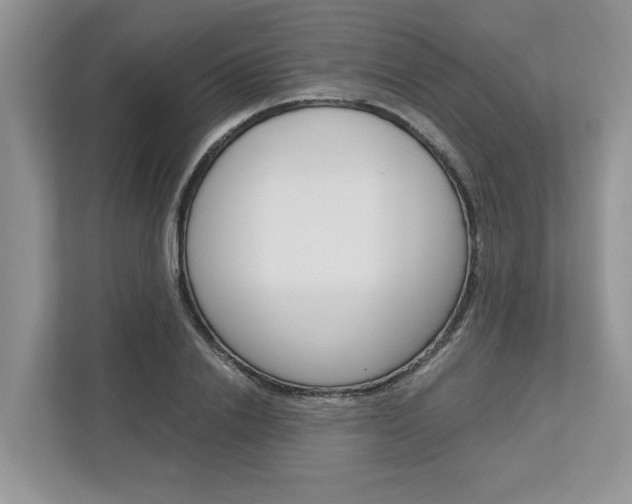 X0000113040838200908271033