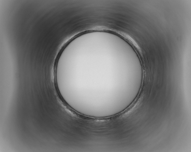X0000113040839200908271033