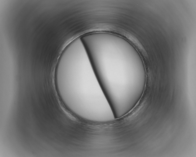 X0000113040842200908271033