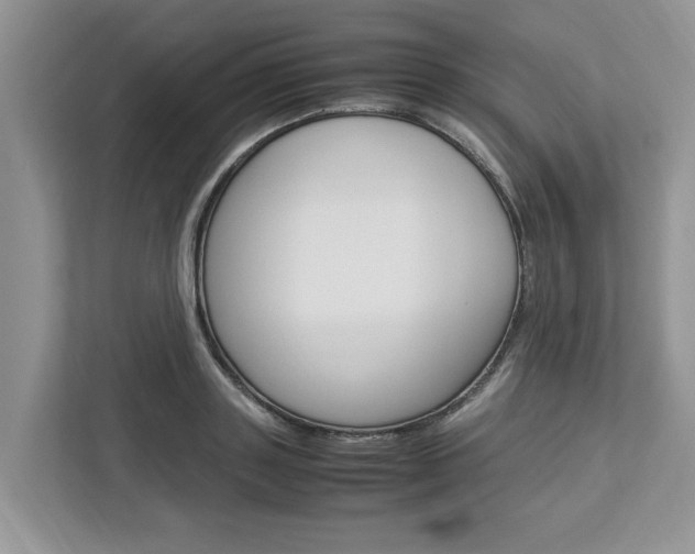 X0000113040843200908271033