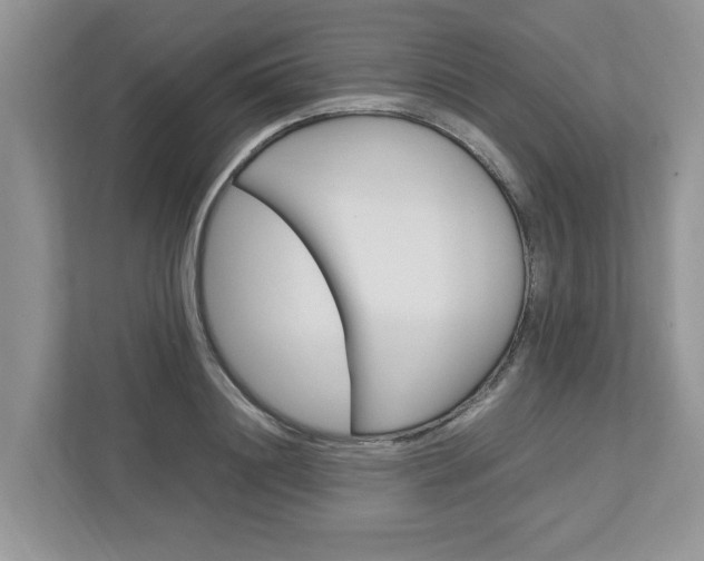 X0000113040844200908271033