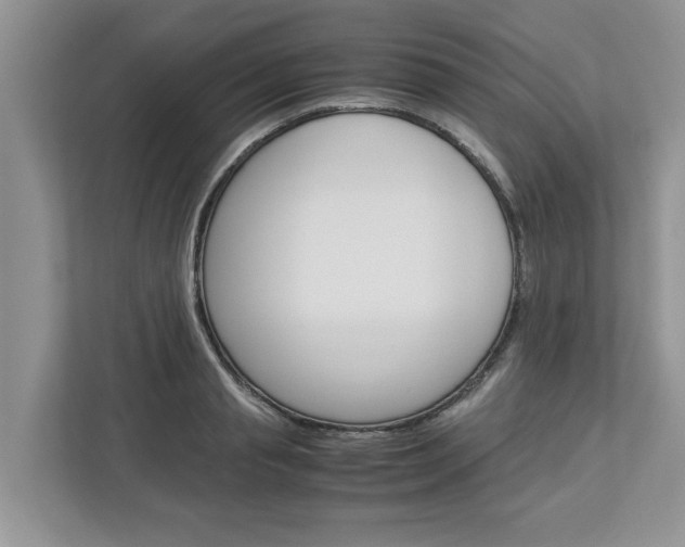 X0000113040845200908271033