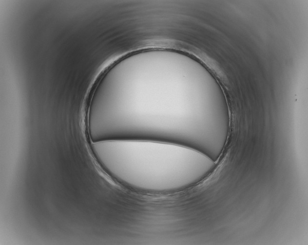 X0000113040846200908271033