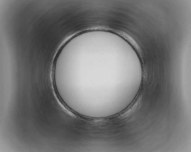 X0000113040847200908271033