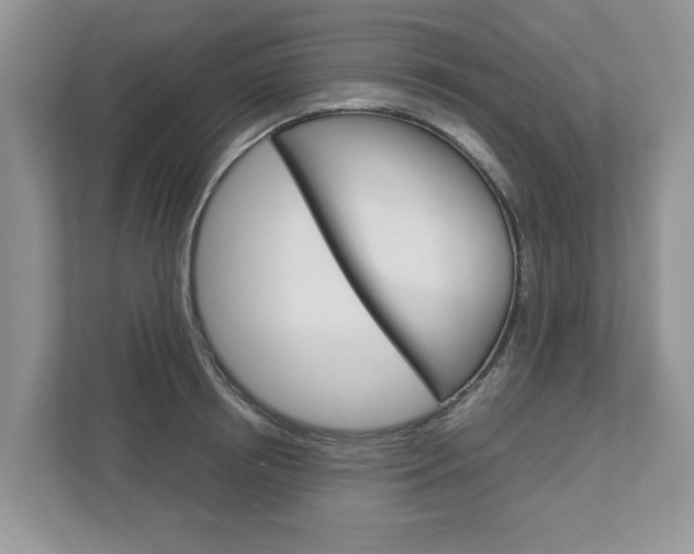 X0000113040850200908271033