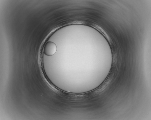 X0000113040851200908271033