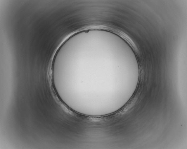 X0000113040852200908271033