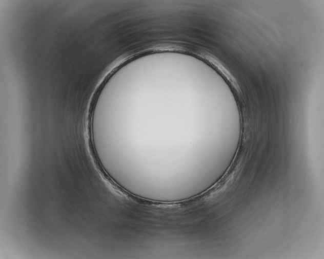 X0000113040853200908271033