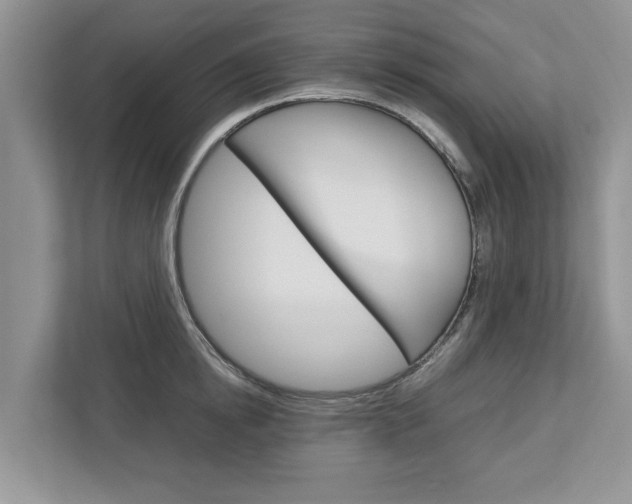 X0000113040854200908271033