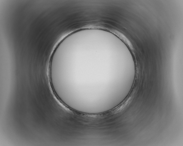 X0000113040855200908271033