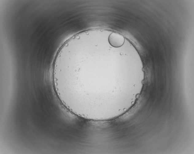 X0000113040856200908271033