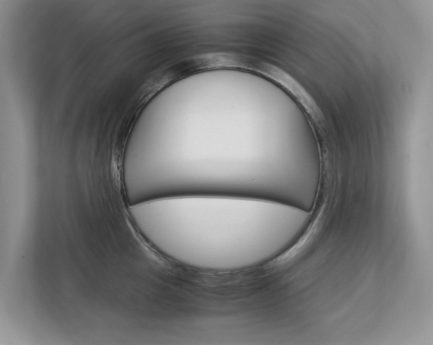 X0000113040857200908271033