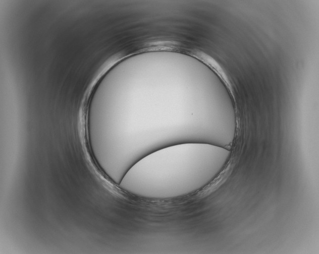 X0000113040859200908271033