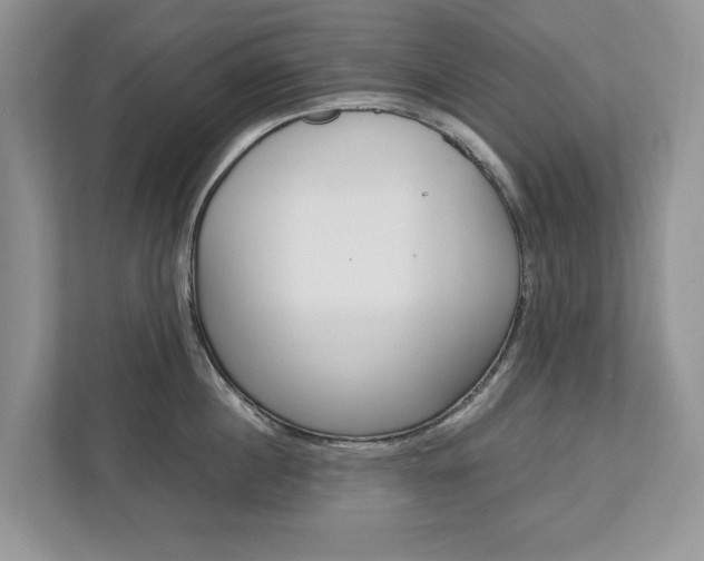X0000113040860200908271033