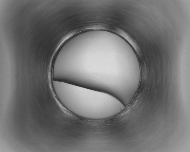 X0000113040861200908271033