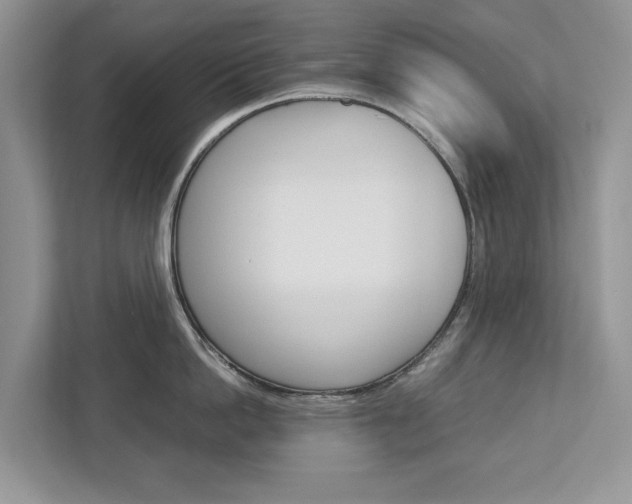 X0000113040862200908271033