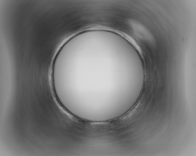 X0000113040863200908271033