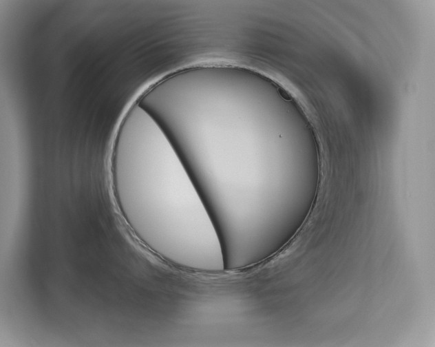 X0000113040864200908271033