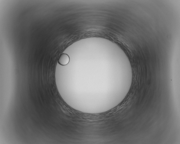 X0000113040868200908271032