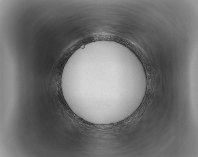 X0000113040870200908271032
