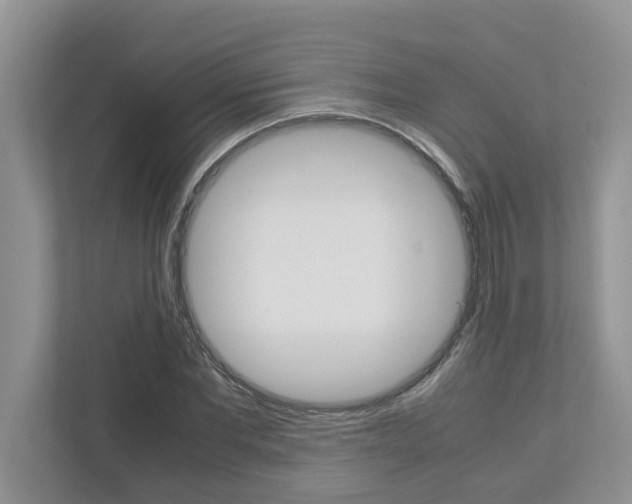 X0000113040877200908271032