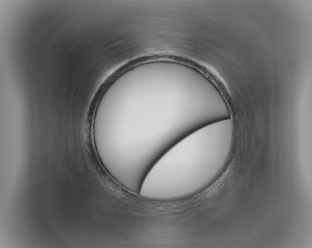 X0000113040879200908271032