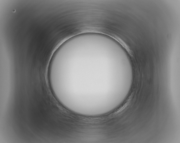 X0000113040885200908271032