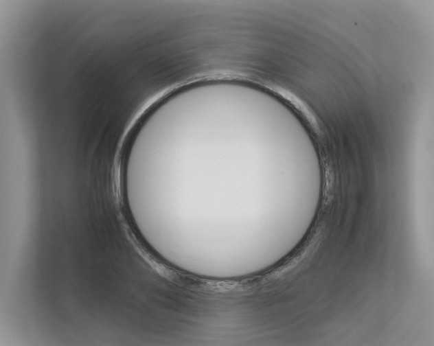X0000113040886200908271032