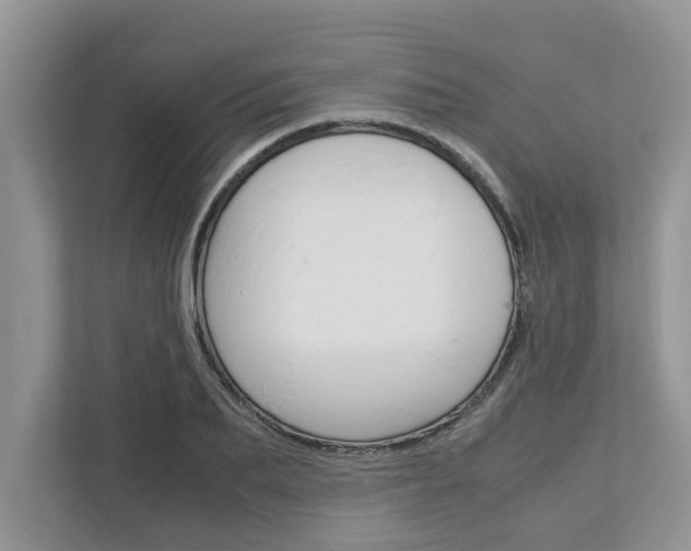 X0000113040887200908271032