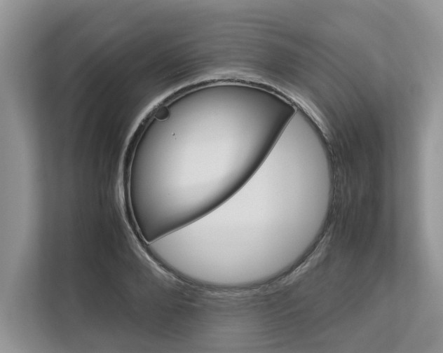 X0000113040888200908271032