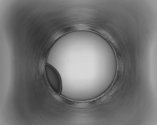 X0000113040889200908271032
