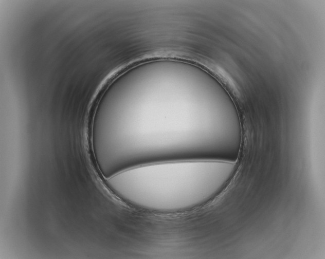 X0000113040896200908271032