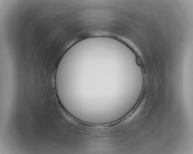 X0000113040897200908271032