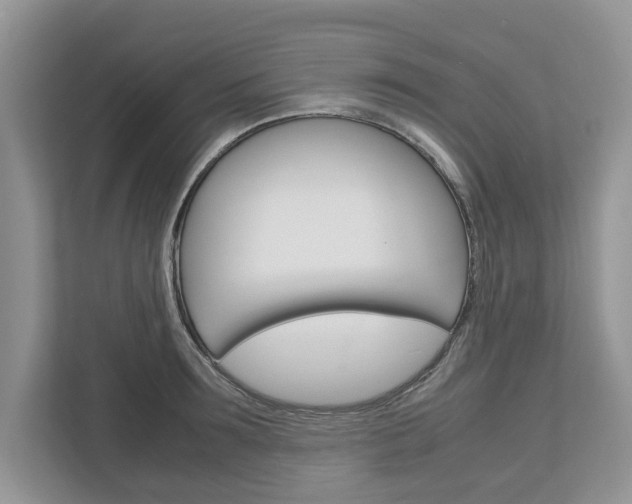 X0000113040899200908271032